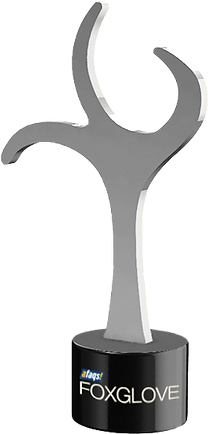 Award 4